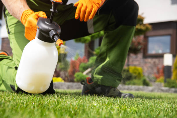 Best Local Pest Control Services  in Sheridan, OR