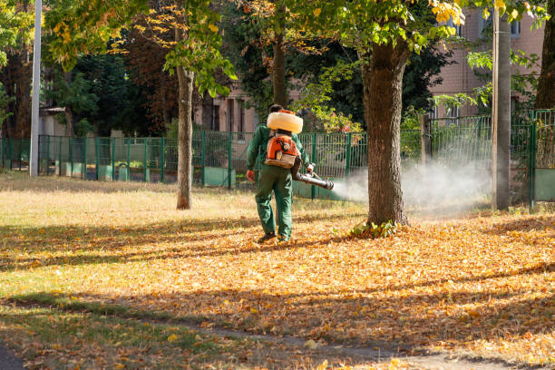 Best Affordable Pest Control Services  in Sheridan, OR